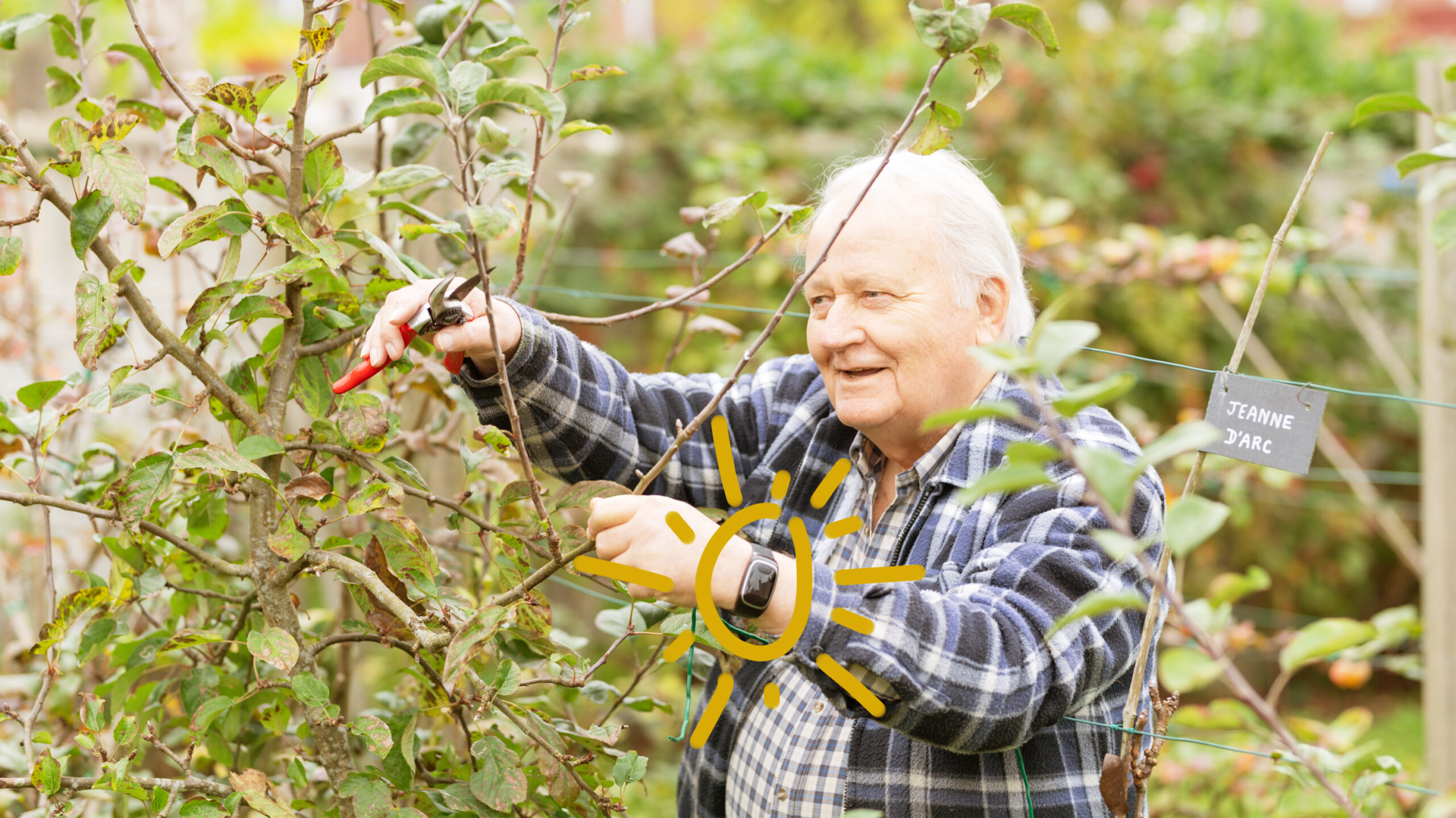 Seniors jardinage