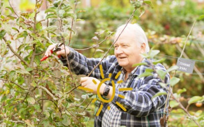 Seniors : Les bienfaits du jardinage